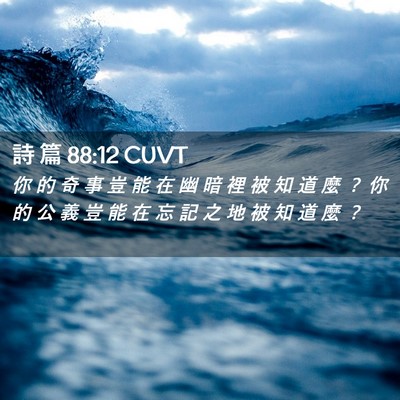 Picture 02 - 詩 篇 88:12 CUVT - 你 的 奇 事 豈 能 在 幽 暗 裡 被 知 - Bible Verse Picture