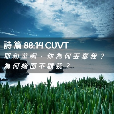 Picture 02 - 詩 篇 88:14 CUVT - 耶 和 華 啊 ， 你 為 何 丟 棄 我 ？ - Bible Verse Picture