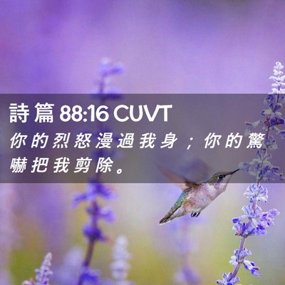 Picture 02 - 詩 篇 88:16 CUVT - 你 的 烈 怒 漫 過 我 身 ； 你 的 驚 - Bible Verse Picture