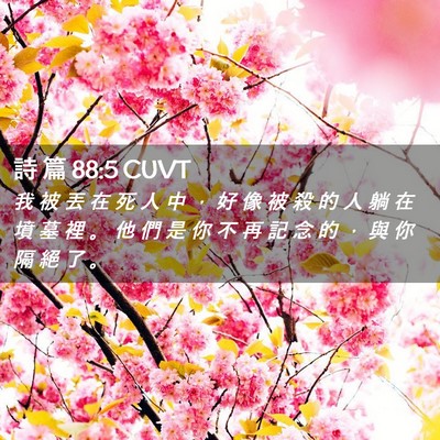 Picture 02 - 詩 篇 88:5 CUVT - 我 被 丟 在 死 人 中 ， 好 像 被 殺 - Bible Verse Picture