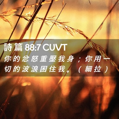Picture 02 - 詩 篇 88:7 CUVT - 你 的 忿 怒 重 壓 我 身 ； 你 用 一 - Bible Verse Picture