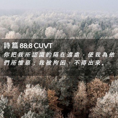 Picture 02 - 詩 篇 88:8 CUVT - 你 把 我 所 認 識 的 隔 在 遠 處 ， - Bible Verse Picture
