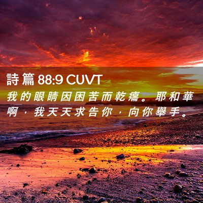 Picture 02 - 詩 篇 88:9 CUVT - 我 的 眼 睛 因 困 苦 而 乾 癟 。 耶 - Bible Verse Picture