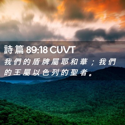 Picture 02 - 詩 篇 89:18 CUVT - 我 們 的 盾 牌 屬 耶 和 華 ； 我 們 - Bible Verse Picture