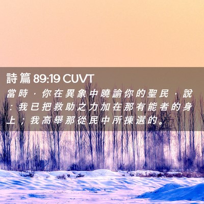 Picture 02 - 詩 篇 89:19 CUVT - 當 時 ， 你 在 異 象 中 曉 諭 你 的 - Bible Verse Picture
