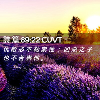 Picture 02 - 詩 篇 89:22 CUVT - 仇 敵 必 不 勒 索 他 ； 凶 惡 之 子 - Bible Verse Picture