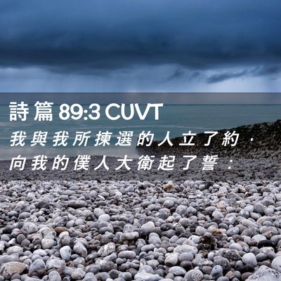 Picture 02 - 詩 篇 89:3 CUVT - 我 與 我 所 揀 選 的 人 立 了 約 ， - Bible Verse Picture