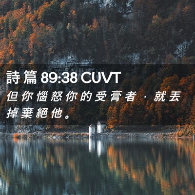 Picture 02 - 詩 篇 89:38 CUVT - 但 你 惱 怒 你 的 受 膏 者 ， 就 丟 - Bible Verse Picture