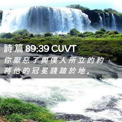 Picture 02 - 詩 篇 89:39 CUVT - 你 厭 惡 了 與 僕 人 所 立 的 約 ， - Bible Verse Picture
