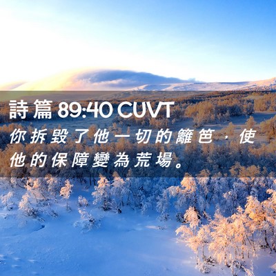 Picture 02 - 詩 篇 89:40 CUVT - 你 拆 毀 了 他 一 切 的 籬 笆 ， 使 - Bible Verse Picture