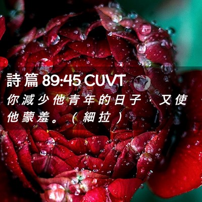 Picture 02 - 詩 篇 89:45 CUVT - 你 減 少 他 青 年 的 日 子 ， 又 使 - Bible Verse Picture