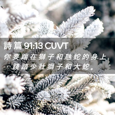 Picture 02 - 詩 篇 91:13 CUVT - 你 要 踹 在 獅 子 和 虺 蛇 的 身 上 - Bible Verse Picture