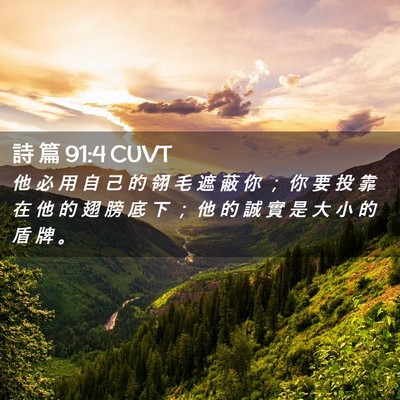 Picture 02 - 詩 篇 91:4 CUVT - 他 必 用 自 己 的 翎 毛 遮 蔽 你 ； - Bible Verse Picture