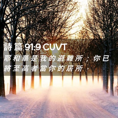 Picture 02 - 詩 篇 91:9 CUVT - 耶 和 華 是 我 的 避 難 所 ； 你 已 - Bible Verse Picture