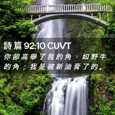 Picture 02 - 詩 篇 92:10 CUVT - 你 卻 高 舉 了 我 的 角 ， 如 野 牛 - Bible Verse Picture