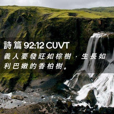 Picture 02 - 詩 篇 92:12 CUVT - 義 人 要 發 旺 如 棕 樹 ， 生 長 如 - Bible Verse Picture