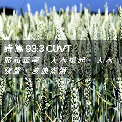 Picture 02 - 詩 篇 93:3 CUVT - 耶 和 華 啊 ， 大 水 揚 起 ， 大 水 - Bible Verse Picture
