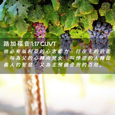 Picture 02 - 路 加 福 音 1:17 CUVT - 他 必 有 以 利 亞 的 心 志 能 力 ， - Bible Verse Picture