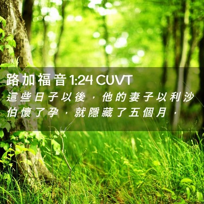 Picture 02 - 路 加 福 音 1:24 CUVT - 這 些 日 子 以 後 ， 他 的 妻 子 以 - Bible Verse Picture