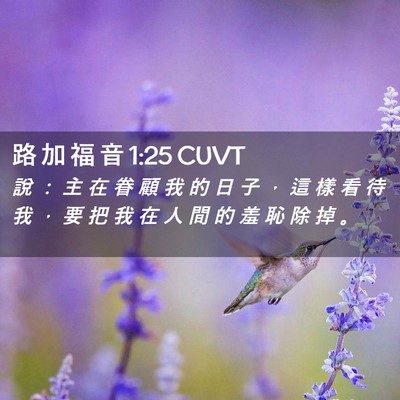 Picture 02 - 路 加 福 音 1:25 CUVT - 說 ： 主 在 眷 顧 我 的 日 子 ， 這 - Bible Verse Picture