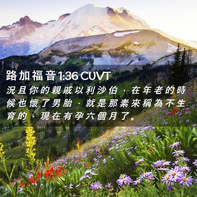 Picture 02 - 路 加 福 音 1:36 CUVT - 況 且 你 的 親 戚 以 利 沙 伯 ， 在 - Bible Verse Picture