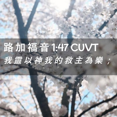 Picture 02 - 路 加 福 音 1:47 CUVT - 我 靈 以 神 我 的 救 主 為 樂 - Bible Verse Picture