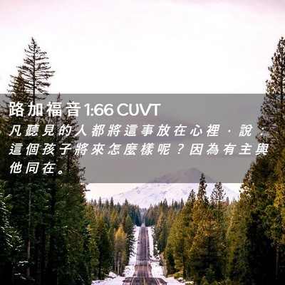 Picture 02 - 路 加 福 音 1:66 CUVT - 凡 聽 見 的 人 都 將 這 事 放 在 心 - Bible Verse Picture
