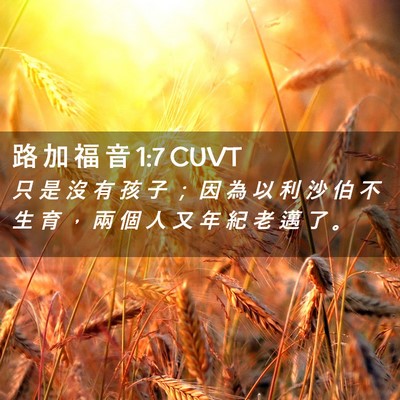 Picture 02 - 路 加 福 音 1:7 CUVT - 只 是 沒 有 孩 子 ； 因 為 以 利 沙 - Bible Verse Picture