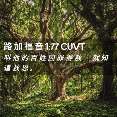 Picture 02 - 路 加 福 音 1:77 CUVT - 叫 他 的 百 姓 因 罪 得 赦 ， 就 知 - Bible Verse Picture