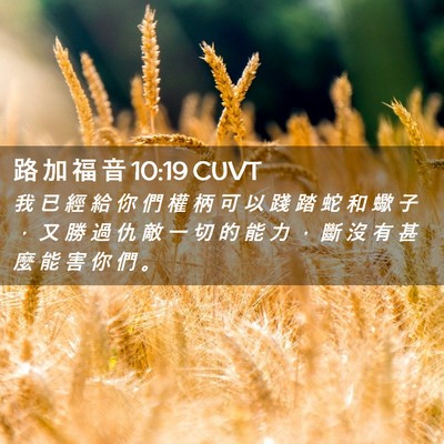 Picture 02 - 路 加 福 音 10:19 CUVT - 我 已 經 給 你 們 權 柄 可 以 踐 踏 - Bible Verse Picture