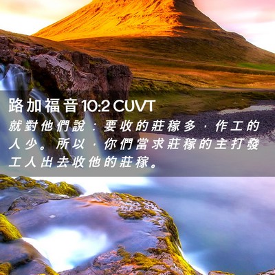 Picture 02 - 路 加 福 音 10:2 CUVT - 就 對 他 們 說 ： 要 收 的 莊 稼 多 - Bible Verse Picture