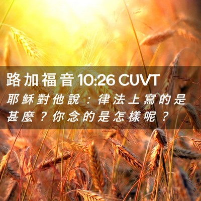 Picture 02 - 路 加 福 音 10:26 CUVT - 耶 穌 對 他 說 ： 律 法 上 寫 的 是 - Bible Verse Picture