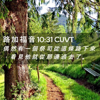 Picture 02 - 路 加 福 音 10:31 CUVT - 偶 然 有 一 個 祭 司 從 這 條 路 下 - Bible Verse Picture