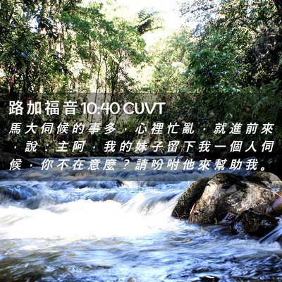 Picture 02 - 路 加 福 音 10:40 CUVT - 馬 大 伺 候 的 事 多 ， 心 裡 忙 亂 - Bible Verse Picture