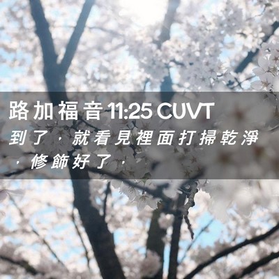 Picture 02 - 路 加 福 音 11:25 CUVT - 到 了 ， 就 看 見 裡 面 打 掃 乾 淨 - Bible Verse Picture