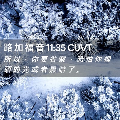 Picture 02 - 路 加 福 音 11:35 CUVT - 所 以 ， 你 要 省 察 ， 恐 怕 你 裡 - Bible Verse Picture