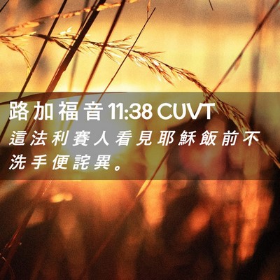 Picture 02 - 路 加 福 音 11:38 CUVT - 這 法 利 賽 人 看 見 耶 穌 飯 前 不 - Bible Verse Picture