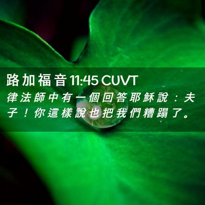 Picture 02 - 路 加 福 音 11:45 CUVT - 律 法 師 中 有 一 個 回 答 耶 穌 說 - Bible Verse Picture