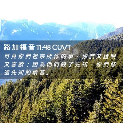 Picture 02 - 路 加 福 音 11:48 CUVT - 可 見 你 們 祖 宗 所 作 的 事 ， 你 - Bible Verse Picture