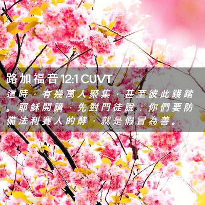Picture 02 - 路 加 福 音 12:1 CUVT - 這 時 ， 有 幾 萬 人 聚 集 ， 甚 至 - Bible Verse Picture