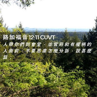 Picture 02 - 路 加 福 音 12:11 CUVT - 人 帶 你 們 到 會 堂 ， 並 官 府 和 - Bible Verse Picture