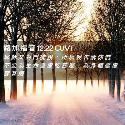 Picture 02 - 路 加 福 音 12:22 CUVT - 耶 穌 又 對 門 徒 說 ： 所 以 我 告 - Bible Verse Picture