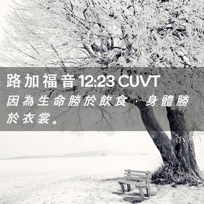 Picture 02 - 路 加 福 音 12:23 CUVT - 因 為 生 命 勝 於 飲 食 ， 身 體 勝 - Bible Verse Picture