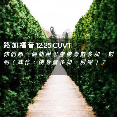 Picture 02 - 路 加 福 音 12:25 CUVT - 你 們 那 一 個 能 用 思 慮 使 壽 數 - Bible Verse Picture
