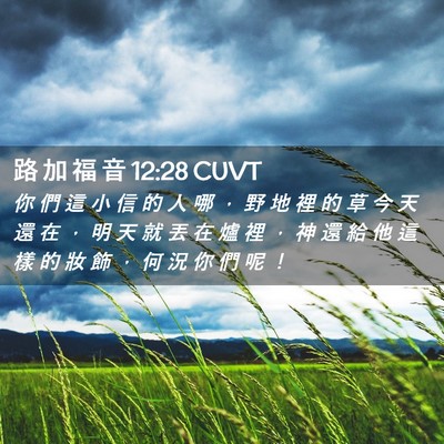 Picture 02 - 路 加 福 音 12:28 CUVT - 你 們 這 小 信 的 人 哪 ， 野 地 裡 - Bible Verse Picture