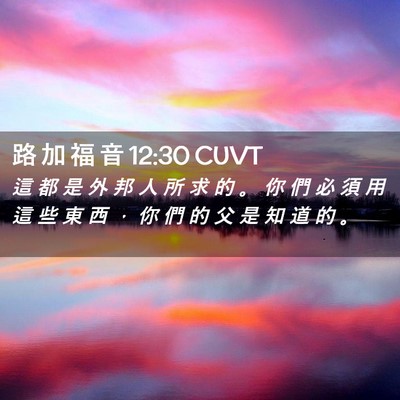 Picture 02 - 路 加 福 音 12:30 CUVT - 這 都 是 外 邦 人 所 求 的 。 你 們 - Bible Verse Picture