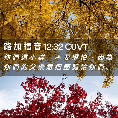 Picture 02 - 路 加 福 音 12:32 CUVT - 你 們 這 小 群 ， 不 要 懼 怕 ， 因 - Bible Verse Picture