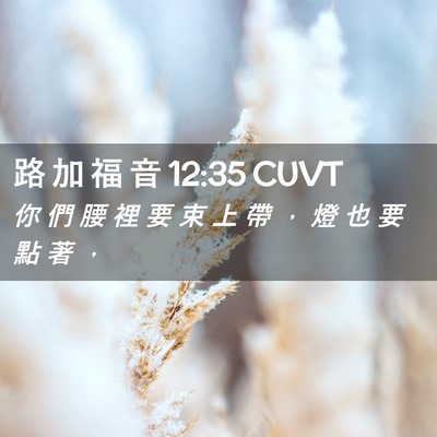 Picture 02 - 路 加 福 音 12:35 CUVT - 你 們 腰 裡 要 束 上 帶 ， 燈 也 要 - Bible Verse Picture