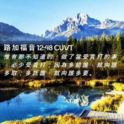 Picture 02 - 路 加 福 音 12:48 CUVT - 惟 有 那 不 知 道 的 ， 做 了 當 受 - Bible Verse Picture