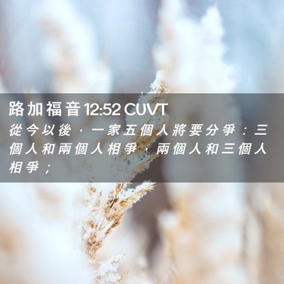 Picture 02 - 路 加 福 音 12:52 CUVT - 從 今 以 後 ， 一 家 五 個 人 將 要 - Bible Verse Picture